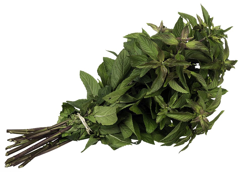 Menta Piperita