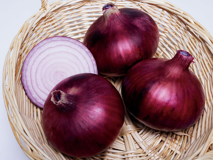 Cebolla Burgesa Roja